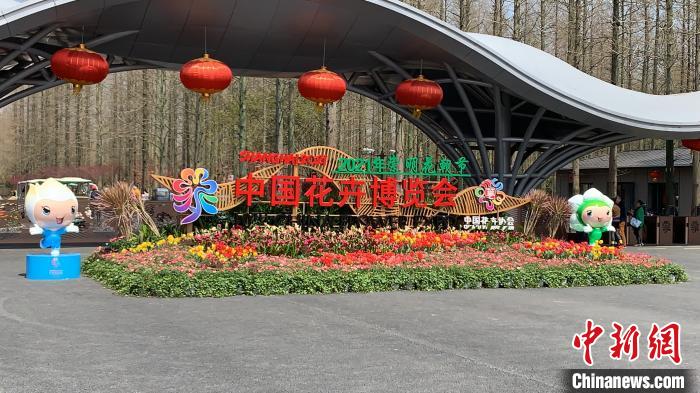 品味中国传统花文化上海崇明花朝节开幕