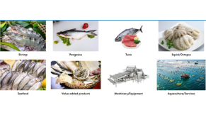 2024年第24届越南国际水产渔业加工展（VIETFISH）
